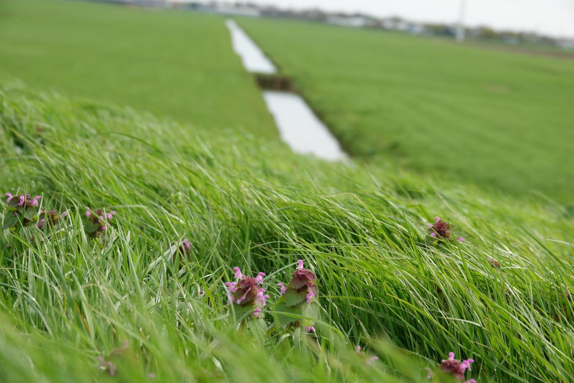 Mooi Vakantiehuis Prachtig Gelegen Aan Het Water Rijpwetering Exteriér fotografie